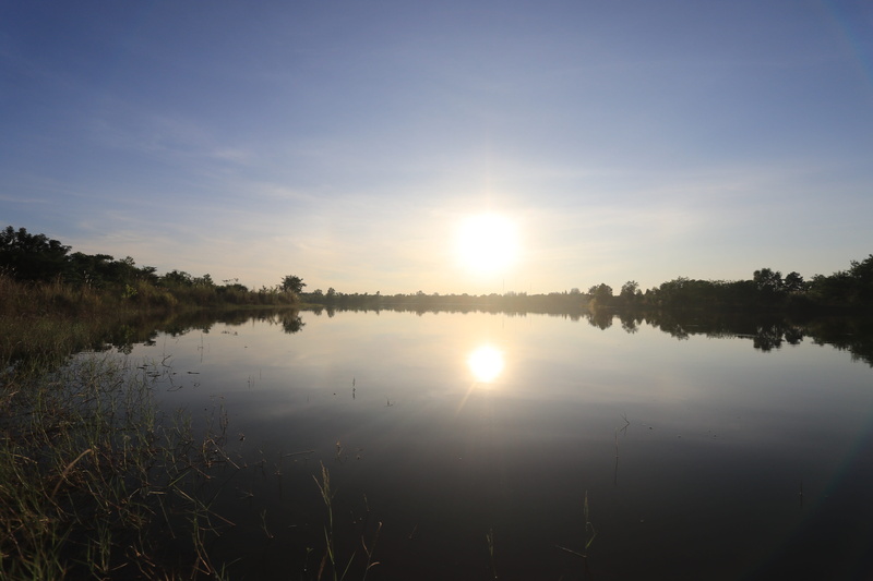 plant, water, tranquil scene, no people, sunset, 5K, idyllic, reflection lake, non-urban scene, reflection, scenics - nature, sunshine, tree, beauty in nature