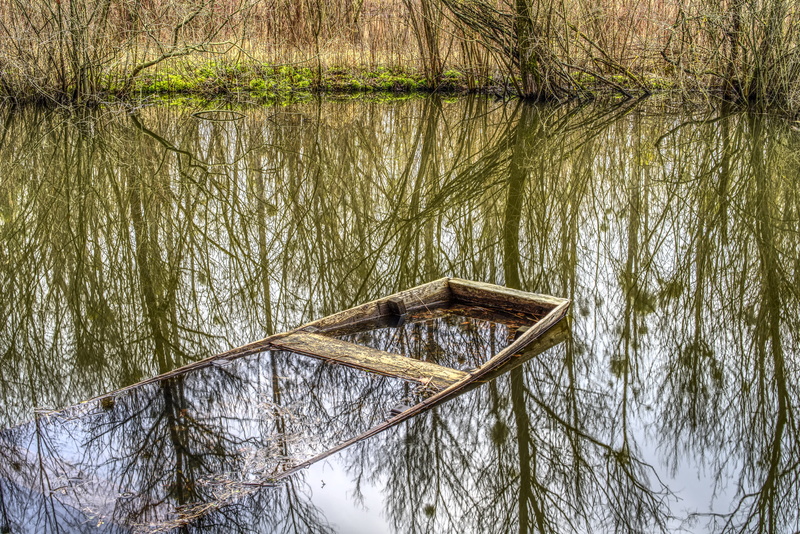 5K, growth, rowing boat, boat, nature conservation, rowboat, trees, go under, water, high dynamic range, river, plant, tranquility, outdoors, scenics - nature