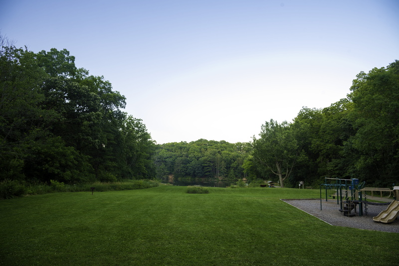 growth, trees, summer, sky, beauty in nature, park, stewart, land, county, grass, Lake County, park - Man Made Space, tranquil scene, County Park, public domain