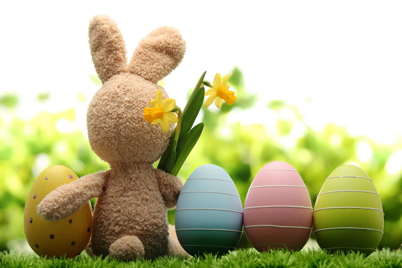food, nature, easter egg, bunny widescreen desktop, celebration, plant, easter, grass, group of objects, 1080P, toy, green color, multi colored, no people