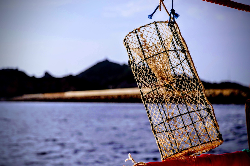 sea, beauty in nature, day, tranquility, fishing, outdoors, 4K, no people, non-urban scene, nature, nasse, scenics - nature, transportation, mountain