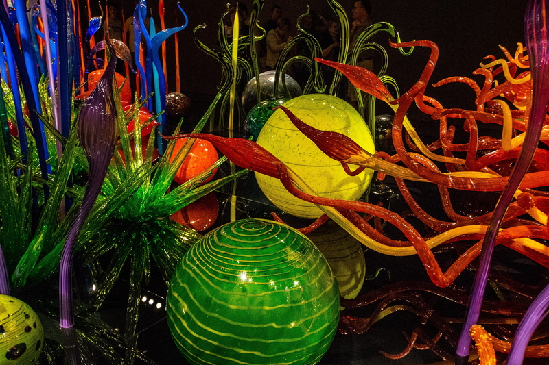 modern, green color, 4K, variation, chihuly, style, blown glass, growth, vivid, succulent plant, seattle, artistic, for sale, beauty in nature, plant part