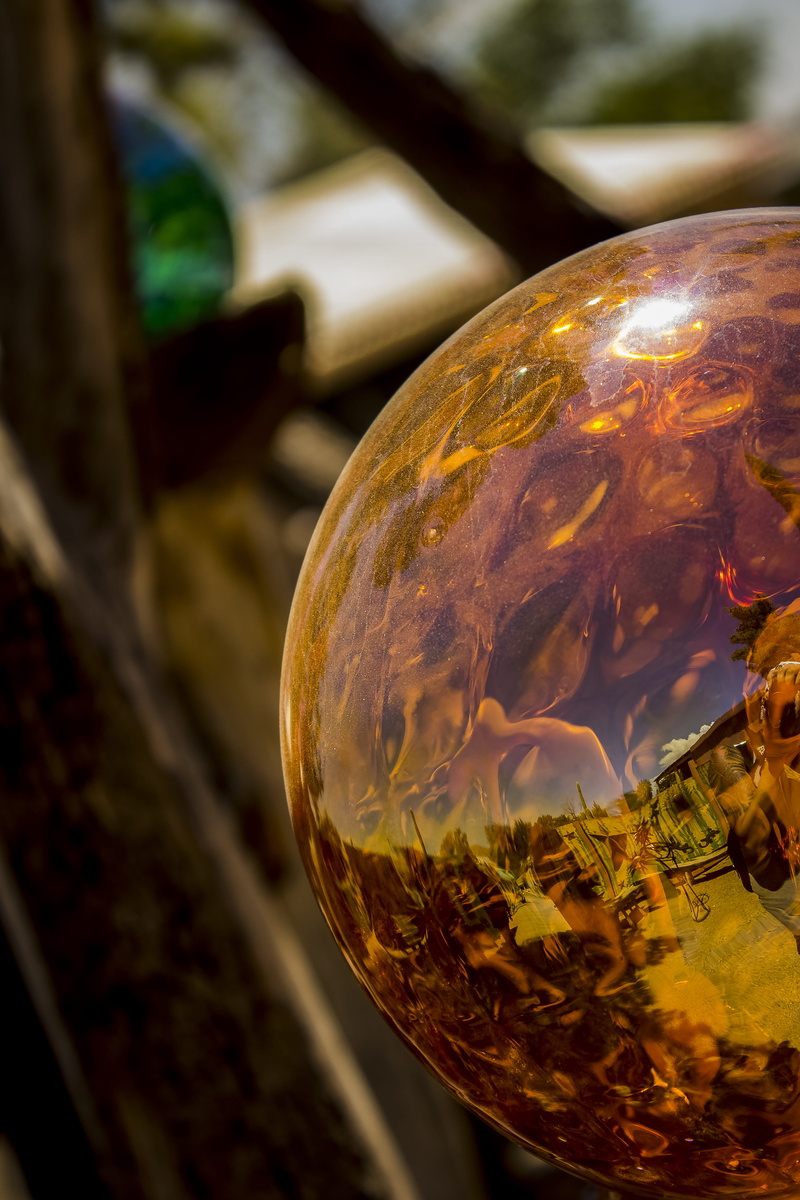 5K, outdoors, crystal, gold colored, nature, glass - material, shape, orange, transparent, day, selective focus, gardens, focus on foreground, blown glass