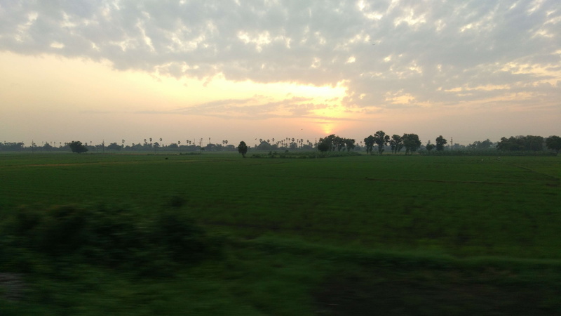 nature, scenics - nature, no people, tranquility, non-urban scene, plant, andhra pradesh, grass, dark green, 4K, india, land, idyllic, field, beauty in nature