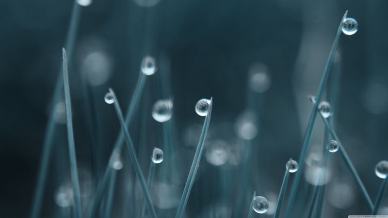science, shape, bubble, digital art, water, indoors, morning, backgrounds, design, dew, abstract, close-up, technology, wet, lot, drop, selective focus