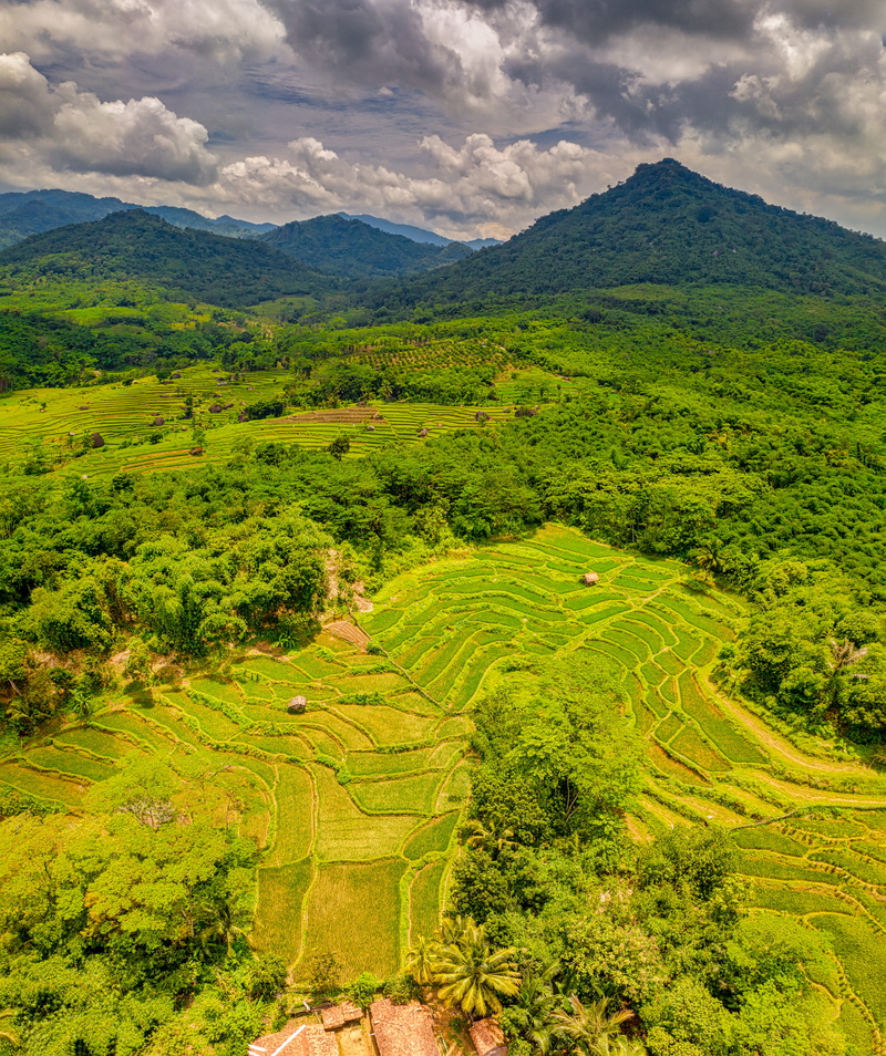 scenic, fair weather, sky, indonesia, scenics - nature, farmland, drone, trees, mountain, cloud - sky, rice terraces, no people, nature, drone shot, crop