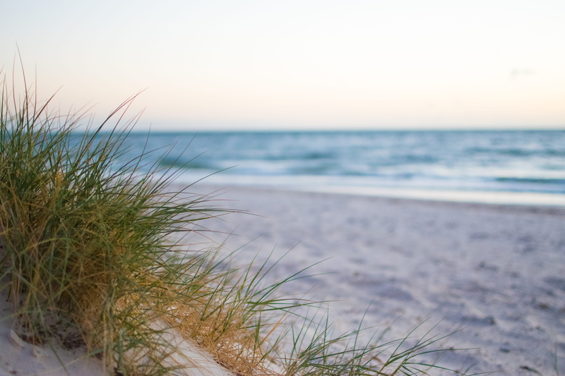 horizon over water, ocean, scenics - nature, grass, summer, beach, clear sky, land, water, seascape, plant, marram grass, sea, panoramic, wave, tranquil scene