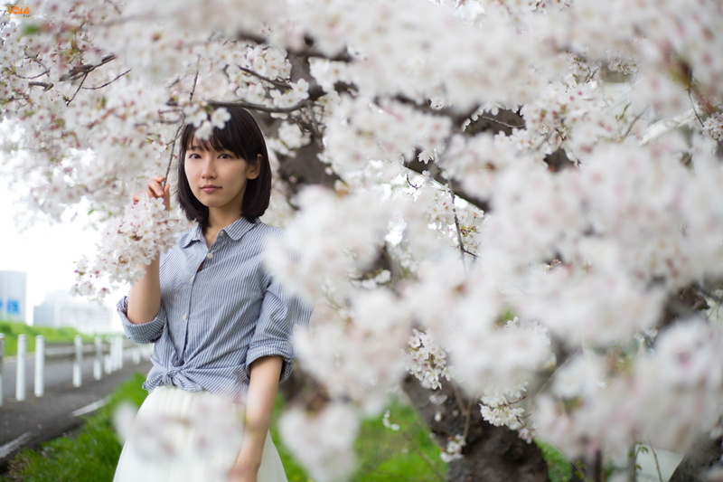 freshness, outdoors, blossom, 720P, one person, lifestyles, Riho Yoshioka, flower, standing, springtime, cherry tree, cherry blossom, fragility, growth