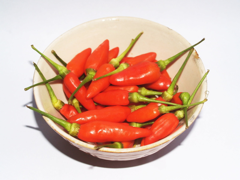two, vegetable, fiery, peppers, large group of objects, spice, fresh, close-up, capsaicin, seasoning, cook, indoors, burning, isolated, cooking, heat, studio shot