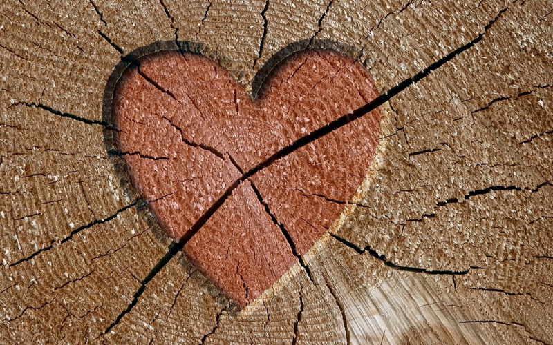 brown, heart Shape, tree ring, paving stone, red, pattern, broken, bark, emotion, symbol, heart, textured, cracked, wood - Material, close-up, no people