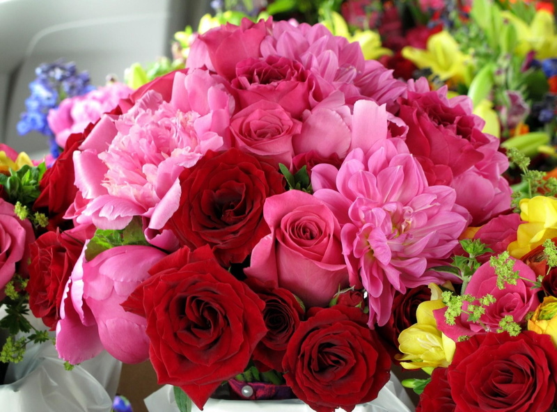 florist, romance, backgrounds, flowers, petal, wedding, plant, close-up, freshness, bouquet, leaf, softness, red, fragility, flower Head, nature, flower market