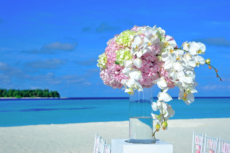 fragility, 2K, wedding, destination, lights, sea, tree, resort, table, outdoors, vulnerability, atoll, bunch of flowers, no people, flowering plant, beauty in nature