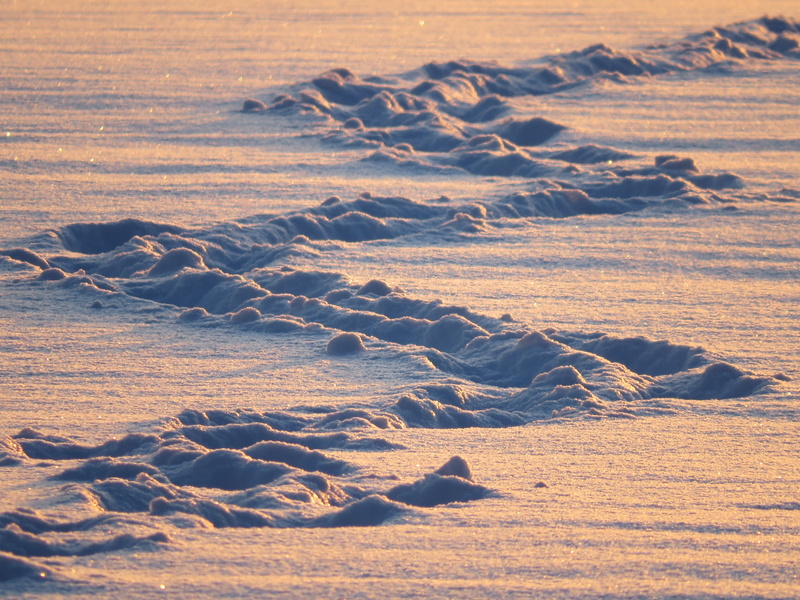 nature, sand, tranquil scene, winter, 4K, day, environment, zig zag, tranquility, traces, cold temperature, landscape, trails, high angle view, snow lane