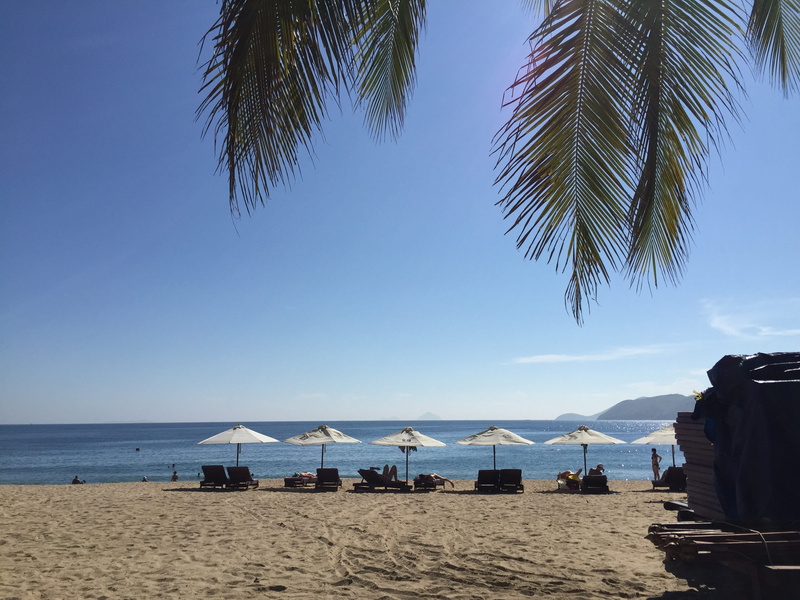 no people, plant, palm leaf, parasol, beach, tranquility, horizon over water, tropical climate, vietnam, beauty in nature, 2K, land, sand, scenics - nature