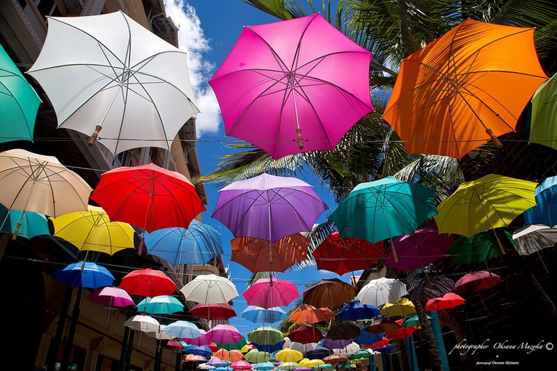 city, in a row, urban, outdoors, retail display, palm trees, 720P, parasol, sunlight, large group of objects, umbrella, market, hanging, variation, security