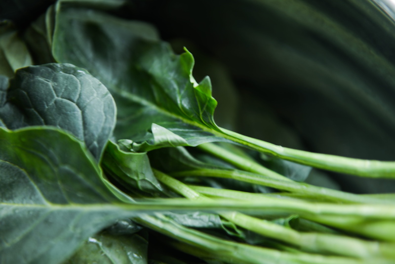 salad, food and drink, fresh, green color, color, 5K, vegetable, vegetables, wellbeing, raw food, black background, vegetable garden, raw, plant part