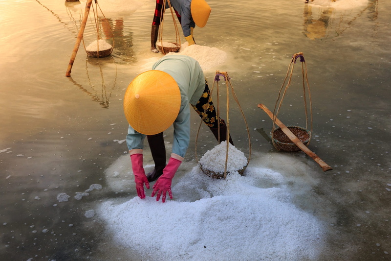 farm, workers, water, real people, women, summer, salt, lifestyles, the morning, reflect, the hat, sky, ninh thuan, vietnam, the sea, sunlight, standing