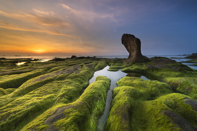 plant, beauty in nature, sea, the beach, landscape, province, scene, the ocean, idyllic, the waves, adventure, sunlight, non-urban scene, summer, grass