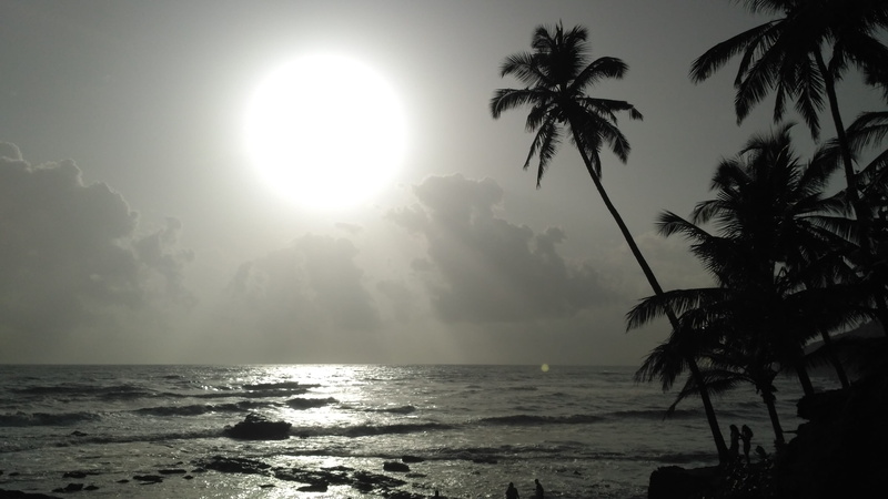 Palm Tree, nature, shimmer, wave, photography, Arabian Sea, tourism, goa, scenic, plant, sea, sunset, Sea, india, beauty in nature, tropical climate, holiday