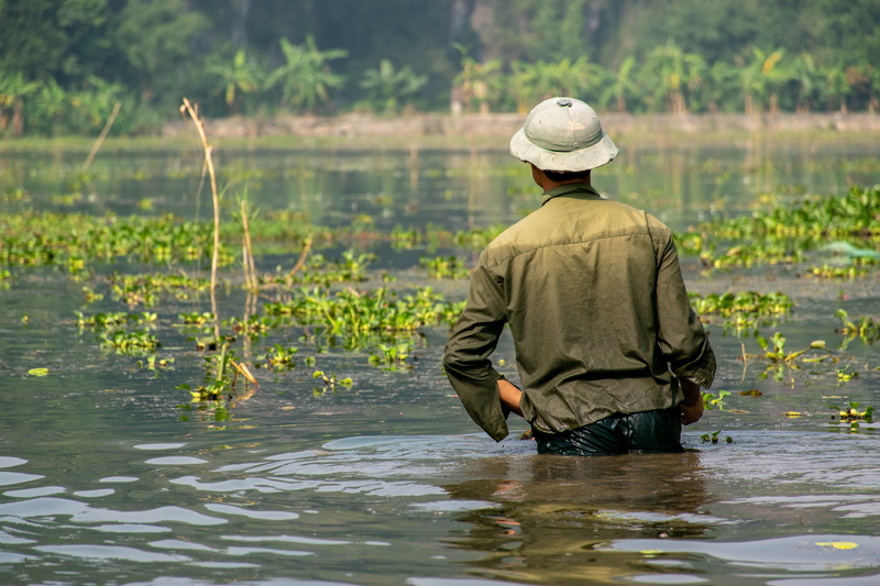swamp, lake, farmer, bog, person, three quarter length, 5K, real people, hat, plant, farm, helmet, clothing, man, nature, sun hat, river, stream, soaked