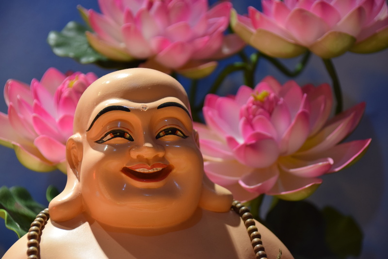 freshness, pink color, phat, outdoors, male likeness, flowering plant, art and craft, statue, female likeness, day, close-up, no people, human representation
