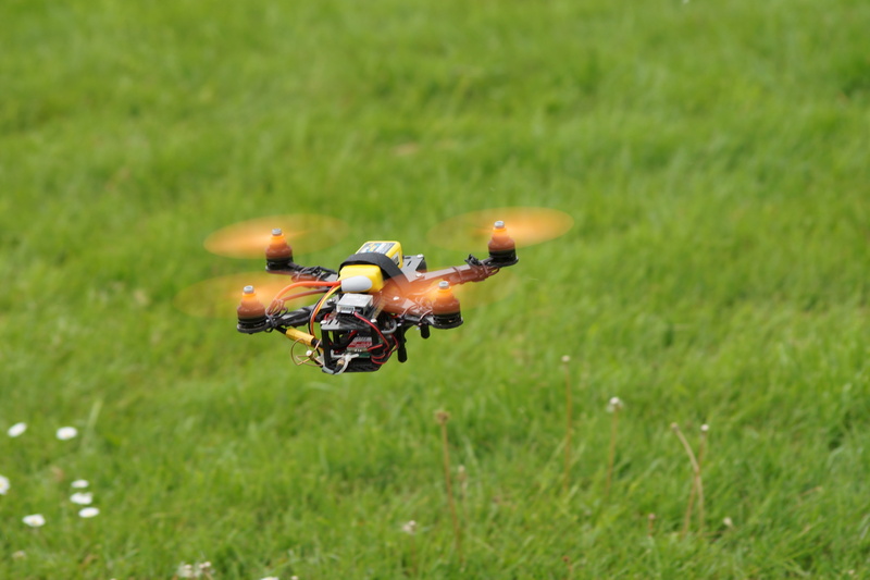 speed, plant, grass, nature, no people, black, yellow, drone, sport, green color, multicopter, animal wing, outdoors, animal themes, selective focus, insect