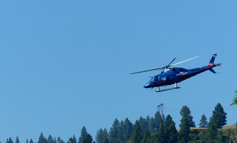 2K, transport, outdoors, sky, day, copy space, motion, Aviation, mid-air, nature, flight, aerial, airplane, animals in the wild, copter, blue, Aircraft