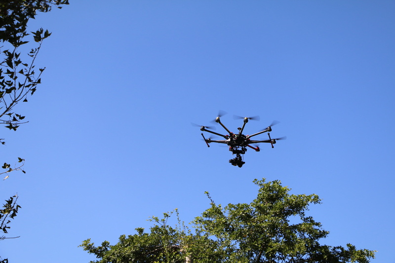 technology, propeller, drone, day, electricity supplier, multicopter, mid-air, flying, material, uav, mode of transportation, copter, tree, surveillance