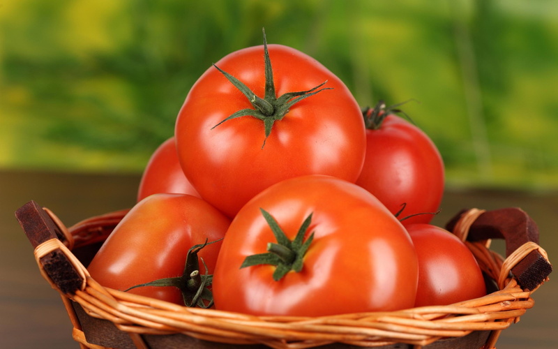 2560x1600, lot, tomatoes, 2K, tomato, photography