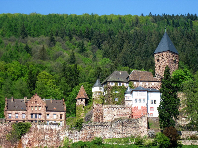 1080P, future, past, present, forest, building, nature and landscapes