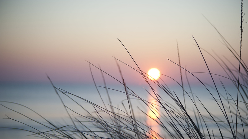 soft, romantic sky, tranquility, sunset, field, sunrise, abstract, orange color, france, beauty in nature, outdoors, sun, sky, growth, cloud - sky, timothy grass