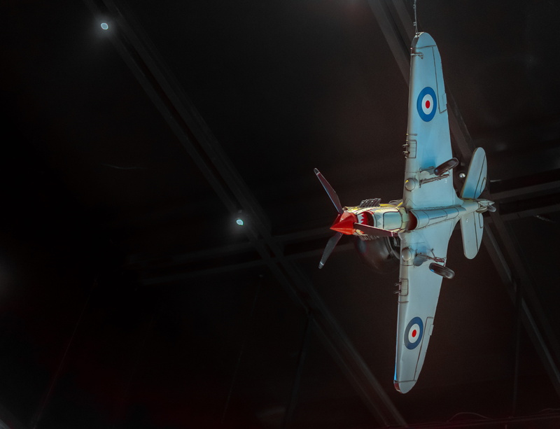 animal, machine, transportation, mode of transportation, white, closeup, metal, white color, no people, biplane, flare, ceiling, blue, jet, coffee shop