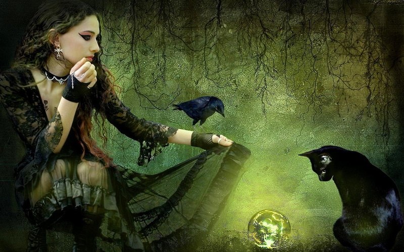 horror, old-fashioned, army, Fantasy, Witch, Forest, color Image, real people, people, shock, beautiful, Cat, black color, dark, concepts And Ideas, armed Forces