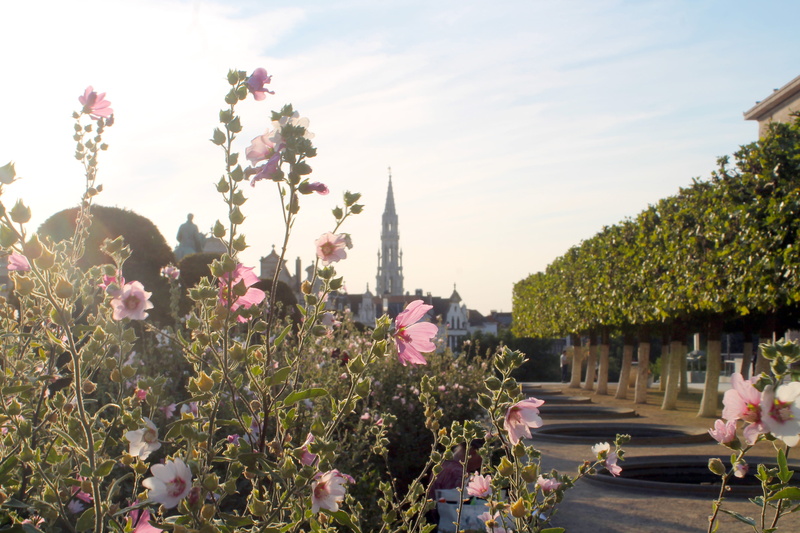 building, beauty in nature, belgium, day, pink color, fragility, travel, architecture, outdoors, built structure, golden light, 4K, city, floral, bruxelles