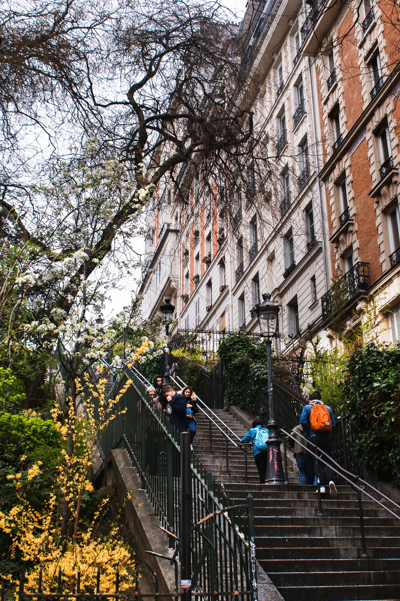 people, city, growth, men, person, day, steps and staircases, handrail, tree, high rise, nature, group of people, low angle view, paris, real people, 4K