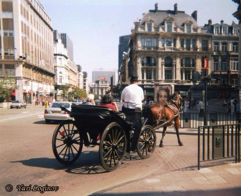 mode of transportation, horsedrawn, built structure, 1080P, cart, architecture, animal, working animal, building exterior, belgium, pets, belgique, mammal
