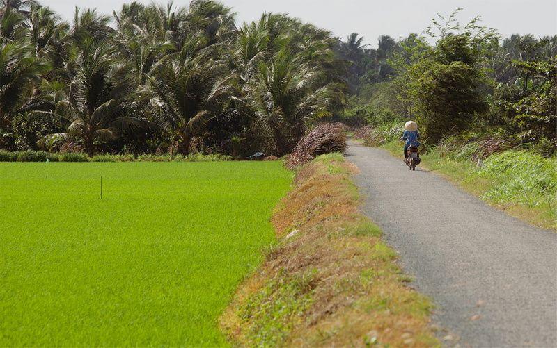 grassland, tree, day, lifestyles, walking, outdoors, green color, bike, growth, people, person, vietnam, gravel, adult, real people, dirt road, flora, riding