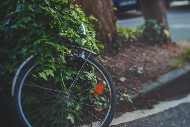 outdoors, tire, no people, 5K, road, bike, dirt road, sports, high angle view, tarmac, nature, plant, close-up, flower pot, bicycle, sport, day, land vehicle