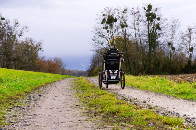 jogging, travel, plant, winter, land vehicle, away, sky, movement, transportation, leisure, tree, direction, dirt road, non-urban scene, grass, 5K, field