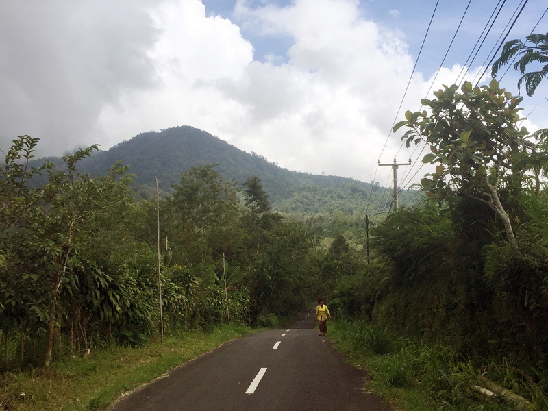road, plant, person, asphalt, diminishing perspective, road marking, 5K, scenics - nature, tranquility, the way forward, nature, highway, electricity