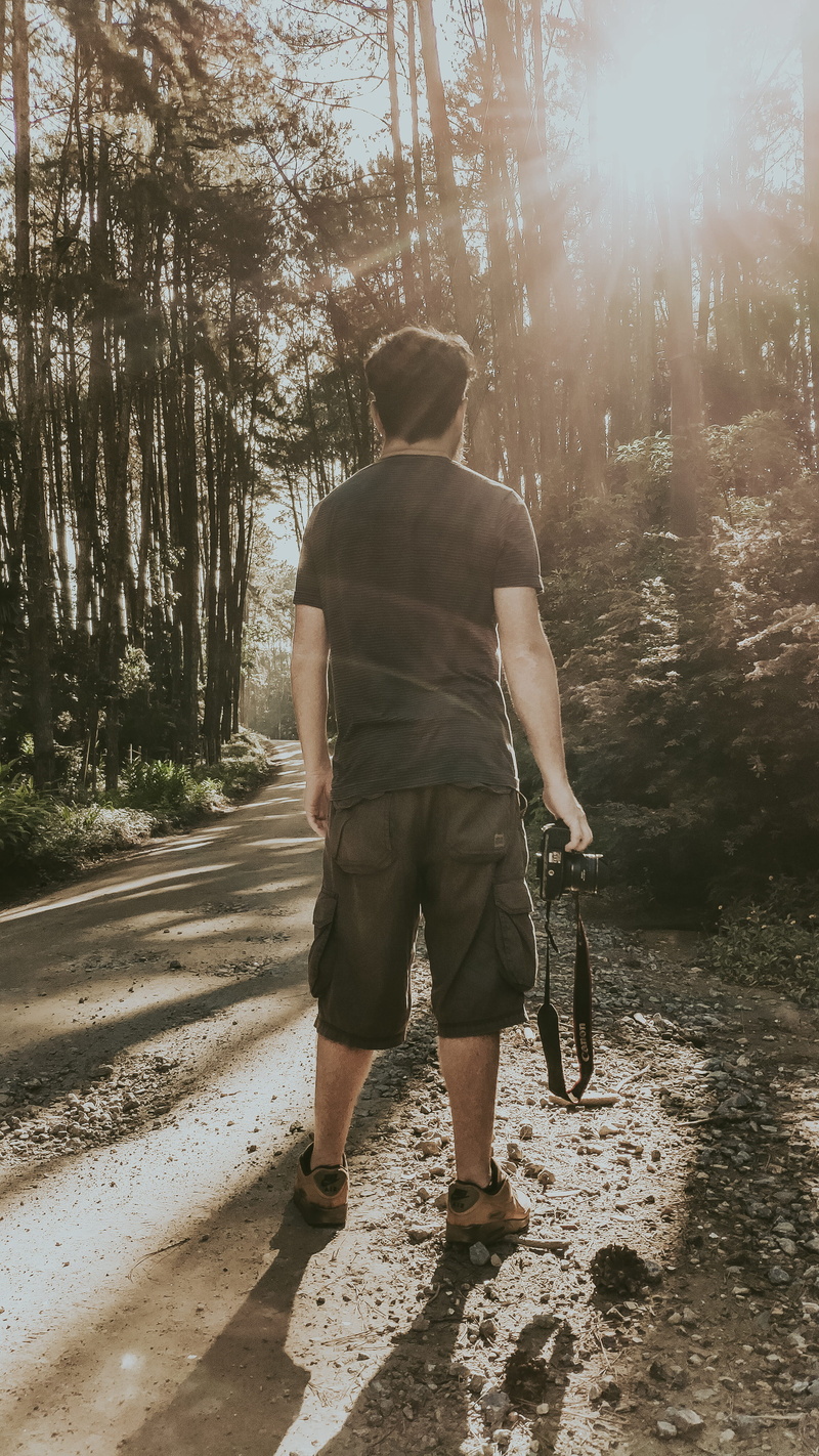 gravel, woodland, land, transportation, footwear, human, light, leisure activity, tree, dirt road, full length, forest, vehicle, shorts, plant, road, standing
