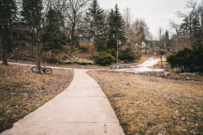 bicycle, trail, vehicle, wheel, nature, 5K, scenics - nature, machine, pavement, conifer, beauty in nature, bike, footpath, tranquil scene, sidewalk, dirt road