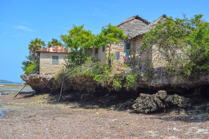 outdoors, sunlight, nature, tree, abandoned, day, old, architecture, building, coast, rock, africa, kenya, land, sky, dirt road, growth, shack, dry, building exterior