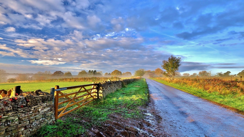 the way forward, grass, nature, field, scenics - nature, prairie, land, rural area, countryside, no people, boundary, morning, direction, sky, outdoors