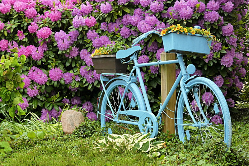 post, vulnerability, bike, container, grass, summer flowers, purple, ornamental garden, beach, architecture, fragility, beach cruiser, nature, growth, wheel