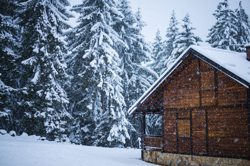 cold - Temperature, winter, solitude, snowstorm, frozen, 4K, ice, landscape, dark, forest, tree, frost, season, sky, european Alps, christmas, vacations