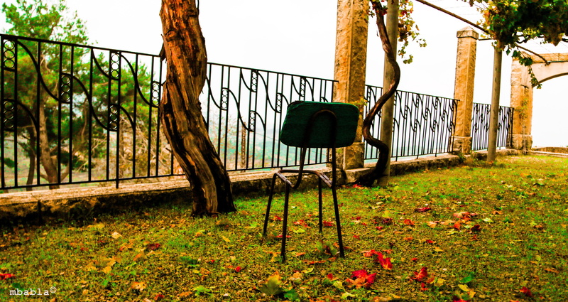 plant, barrier, architecture, 5K, metal, leaf, field, broken, tree, black, park, safety, change, brown, fence, leaves, day, boundary, chair, plant part