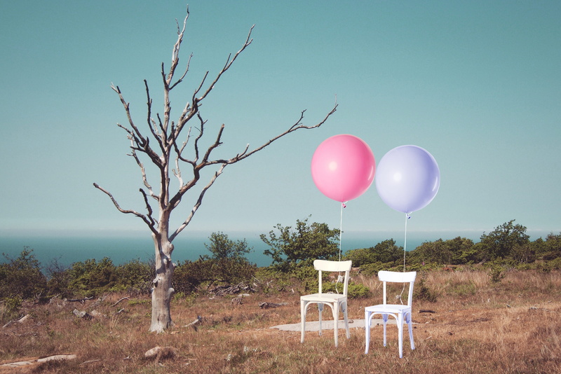 white, no people, burned, day, two, rural scene, pink, leafless, landscape, one, tranquil scene, burnt, copy space, tranquility, barren, chairs, clear sky