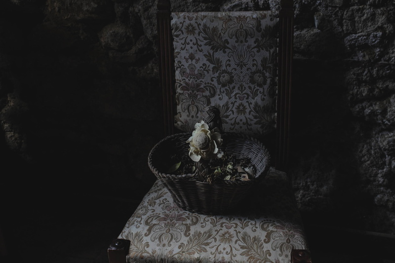 home interior, wall - building feature, furniture, domestic cat, indoors, domestic, day, brow, dark, basket, floral, room, vertebrate, sitting, mammal