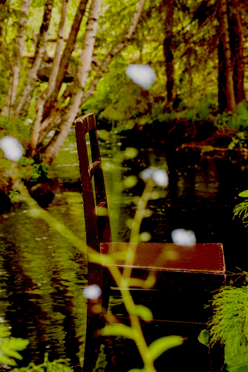 nature, blur, water, vase, growth, jar, plant, pottery, flora, potted plant, close-up, near, finland, tree, 5K, lake, forest, bokeh, focus on foreground